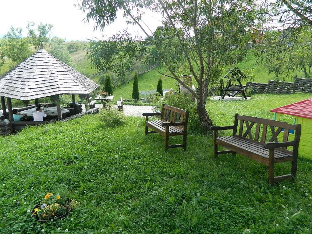 Pensiunea Casa Boiereasca Peştera المظهر الخارجي الصورة