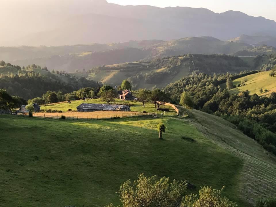 Pensiunea Casa Boiereasca Peştera المظهر الخارجي الصورة